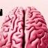 Symptoms Cure For Brain Fog Anxiety Fatigue Brain Detox Naturally Brain Health Mental Health