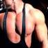 Warriors Of Lucha Underground Cage