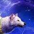 Most Epic Music Ever The Wolf And The Moon BrunuhVille 10 Minutes