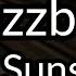 Fuzzbox Pink Sunshine Karaoke
