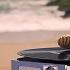Kaleidoscope Bliss The Nautilus Song By Heavy Duty Projects Official Video I Lincoln