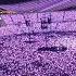 Coldplay Adventure Of A Lifetime Live In Athens June 9th 2024