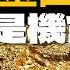 黃金回跌就是機會 外資喊金價上看4500 3大避險利多一次看懂 陳威良 王志郁 富足今周起 EP52