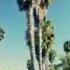 Arman Cekin California Dreaming Feat Paul Rey Music Video