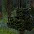 Twilight Forest BG Music