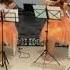 Gramofon Waltz E Doga