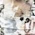 Thomas Schumacher Heat It Up Johannes Heil Remix Unreleased Setrip