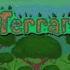 Terraria Jungle Underground Theme