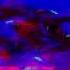 Sleeping Hummingbird Космос KDEN S Remix V2
