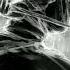 Most Epic Powerful Music Ever Audiomachine Nothing To Prove To You