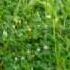 Samuel Purdey Only When I M With You