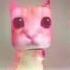 El Gato In My Mind Elgato Phonk Songs Cat