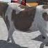 Plasma 3D ANIMATION Fountain3d 3danimation Cow Fountaincrossing 3dmodeling Flowwaterfountain3d