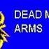 Bishop Briggs Dead Man S Arms Lyric Video