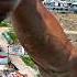 No Go Zones Khayelitsha South Africa Enter At Your Own Risk Free Documentary