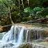 10 Hours Small Waterfall In The Forest Relaxing Nature Sounds Waterfall White Noise For Sleeping