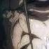 Attack On Titan Season 4 Eren Vs Jaw Titan Nutcracker Theme Trap Remix