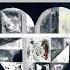 Gotye Kimbra FISHER Chris Lake Sante Sansone Somebody 2024 Extended Mix