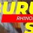 SUARA BURUNG SRDC GACOR SIKATAN RIMBA DADA COKLAT Rhinomyias Olivaceus