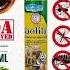 Buy 1 Take 2 Baolilai Insecticide Spray