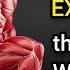 The ONLY 6 Isometric Exercises YOU Need To Transform Your Entire Body At Home