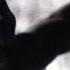 IV44 Howling Shortline Original Video Edit