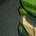 Welcome To Mikey S Life TMNT