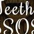 5SOS Teeth S L O W E D R E V E R B