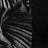 BONDI Los Cabra Desert Groove Monoabe Remix