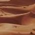 Dj Hijazi Feat Noel Kharman Desert Rose Enta Omry Remix Music Video Hijazi Records