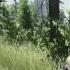EFT Escape From Tarkov Звуки взрыва гранат