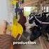 How To Evaluate The Physically Effective Fiber Of The Diet On Your Property