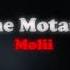 The Motans Molii Slowed Reverb