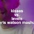 Kisses Vs Levels Chris Watson Mashup