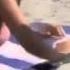 Naked And Funny Big Penis On Beach