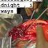Brain Bleed Brain Hemorrhage Surgery Treatment By Neurosurgeon In Adajan Surat