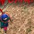 SMILING WOMAN REAL LIFE ESCAPE 12 0 Horror Parkour Pov Short Bubbles 3Run