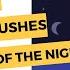 What Causes Adrenaline Rushes At Night