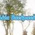 Nokia Backpacker Ringtone Ringtone Backpacker Nokia