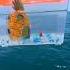I Saved This Goldfish S Life Shorts