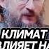 Климат влияет на Размер Мозга Дробышевский интересно