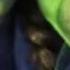 Rachel Tucker S BEST Defying Gravity