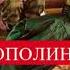 СТЕРЕОПОЛИНА Мандариновый снег
