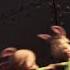 Chicken Little Beginning Seen 2005 THE SKY IS FALLING