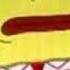 SpongeBob Production Music Seaweed EXTREME BASS BOOST