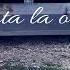 Viața și Sexul La țară Nunta La Olteni
