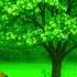 4K Ethiopian Nature Calming Music New 186 Video Nature