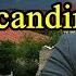 Şəhruz Həbibi Azərbaycana Dəstək üçün Oxudu ŞƏHİDLƏRƏ SALAM OLA