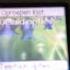 Samsung SGH C100 Ringtones Spelletjes En Meer