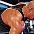 Uncrowned King Hadi Chopan Phil Heath Working Out With All Time Best Coach Hany Rambod Gym